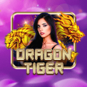 Dragon Tiger casino login live casino