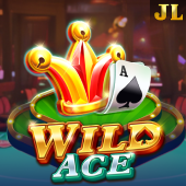 Wild Ace casino login slot